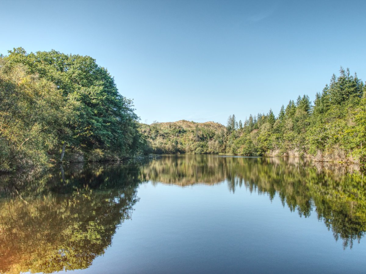 Post Banner - Coedydd Maentwrog's twin lake loop - Llyn Mair and Llyn Hafod-y-Llyn