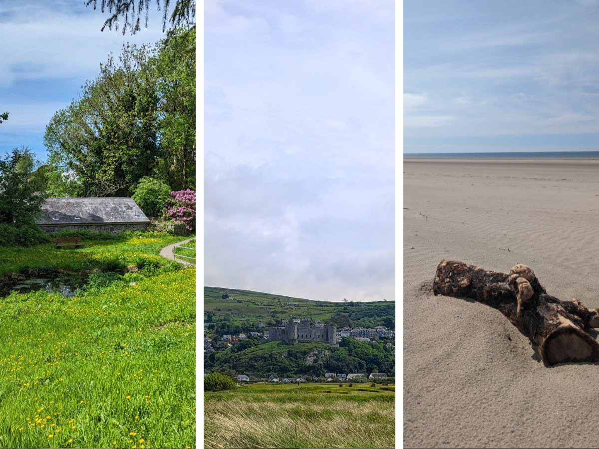 Post Banner - Harlech Town - From the beach to the top
