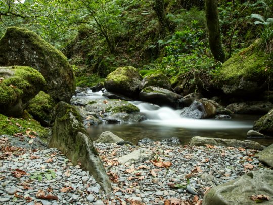 Coed Nant Gwernol - adventures along a historic train line Banner