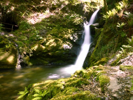 Dolgoch Falls Banner