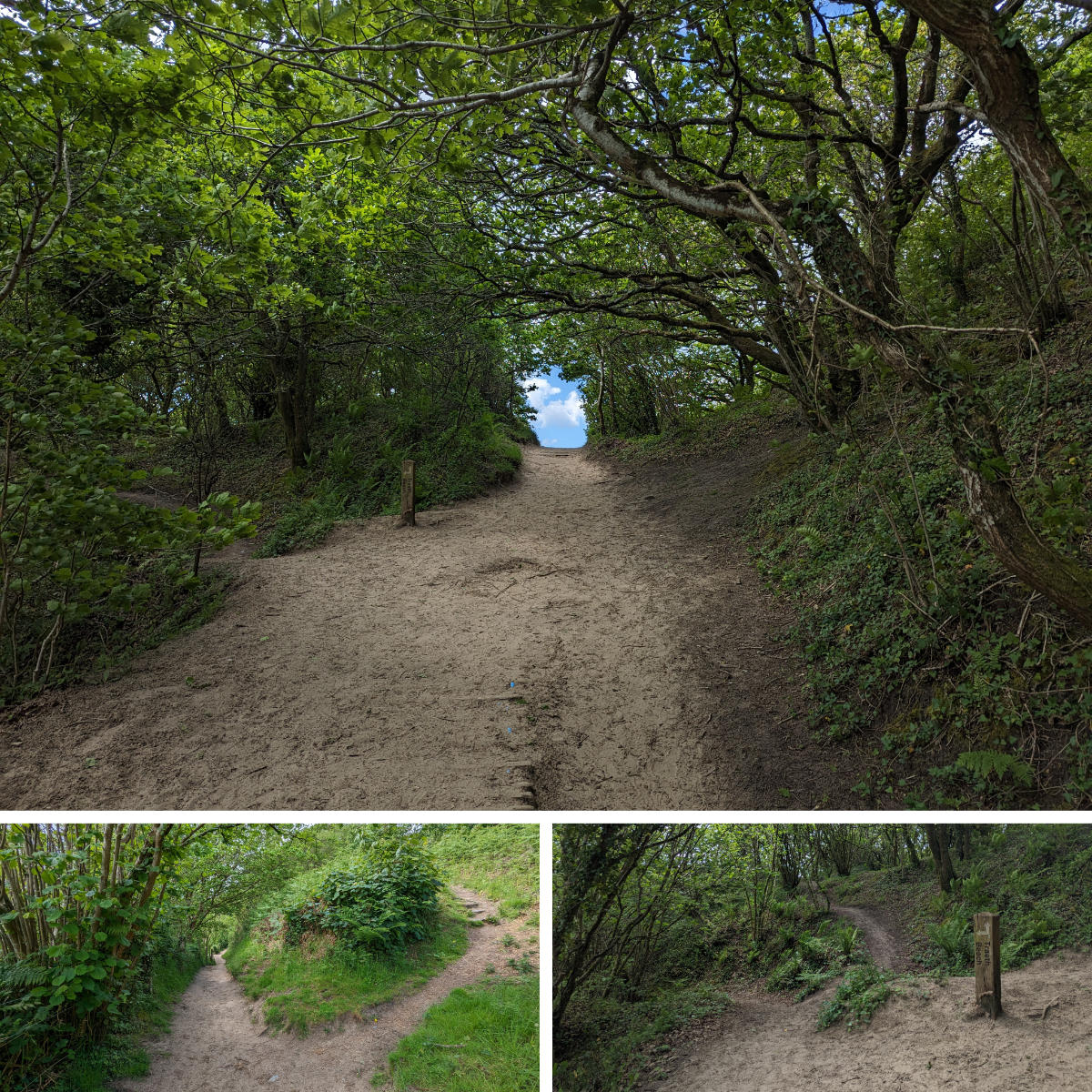 Exploring the paths above the beaches