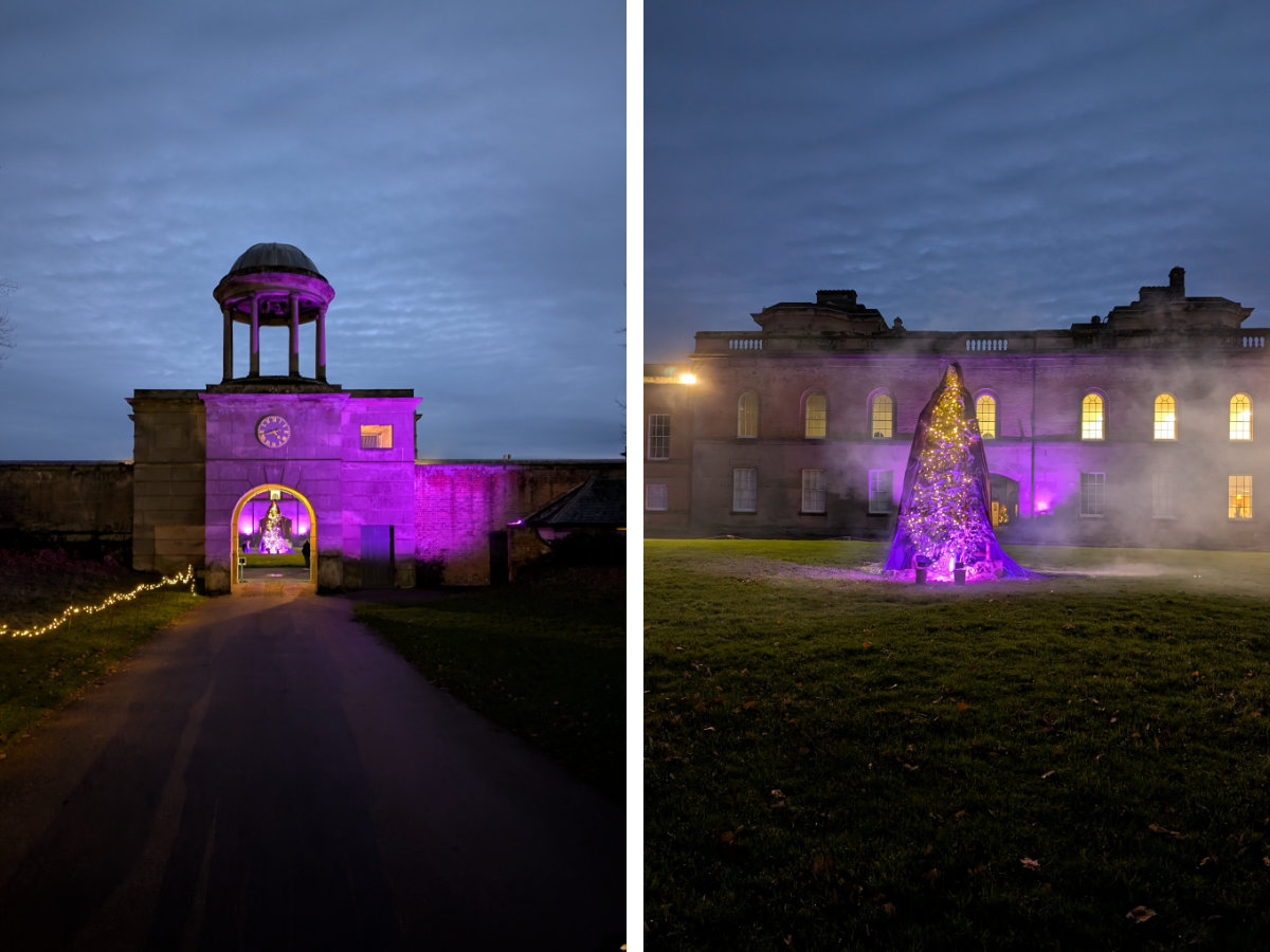 The house in purple