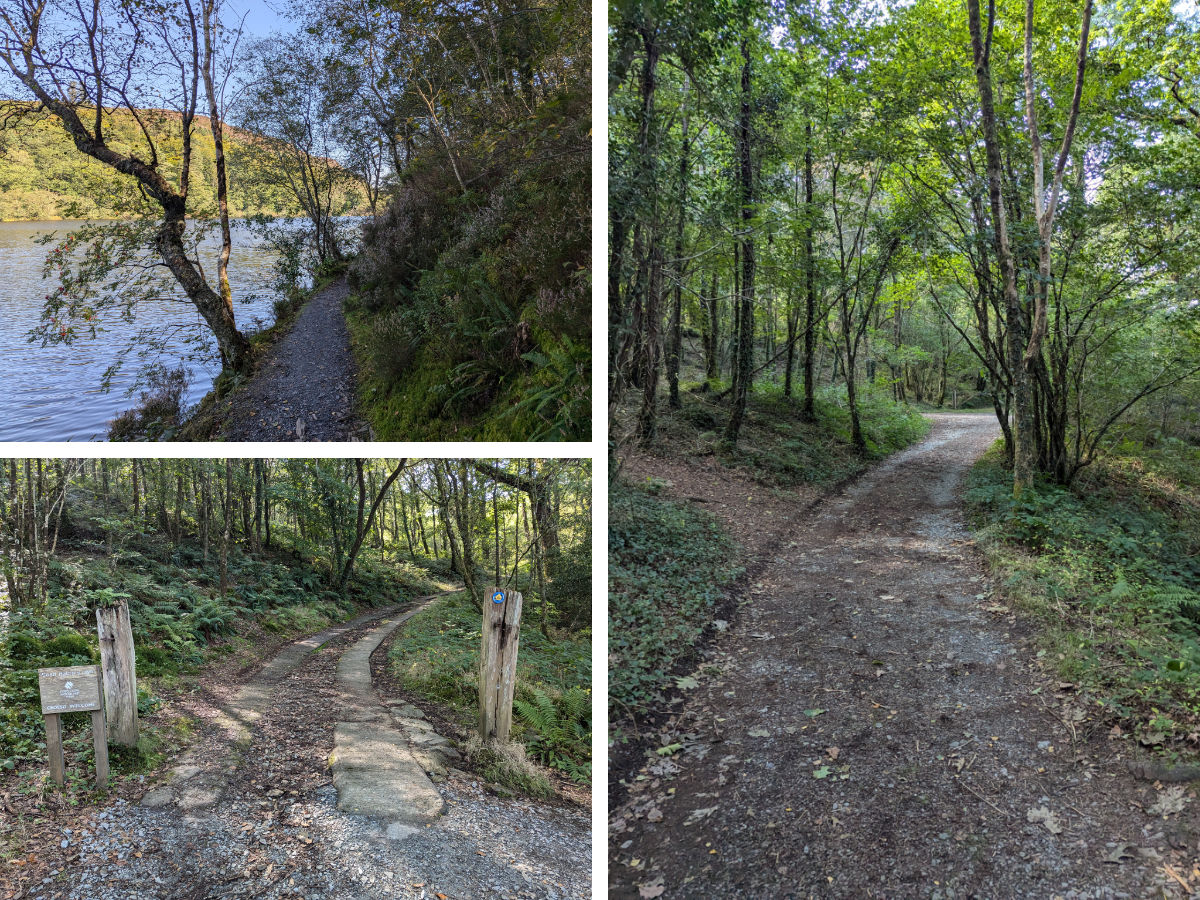 The initial paths around and away from Llyn Mair