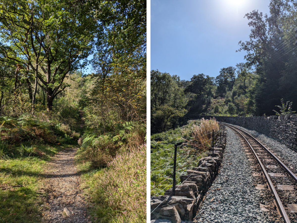 Through the woods and over the tracks