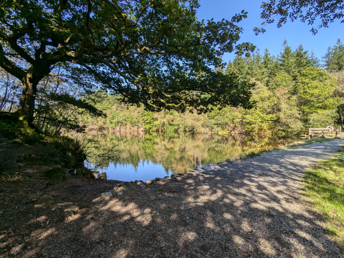 Approaching Llyn Hafod-y-Llyn