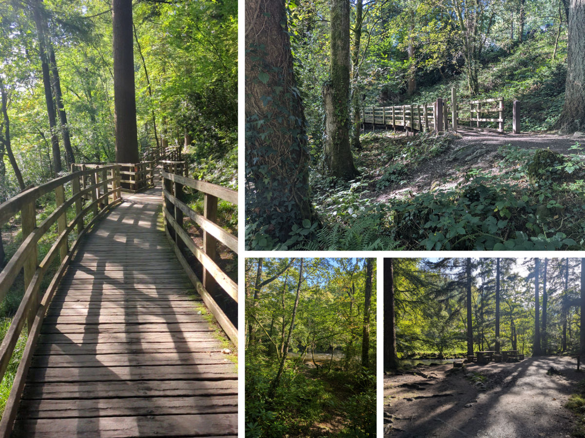 Early stages of the walk along the boardwalk and to the picnic area