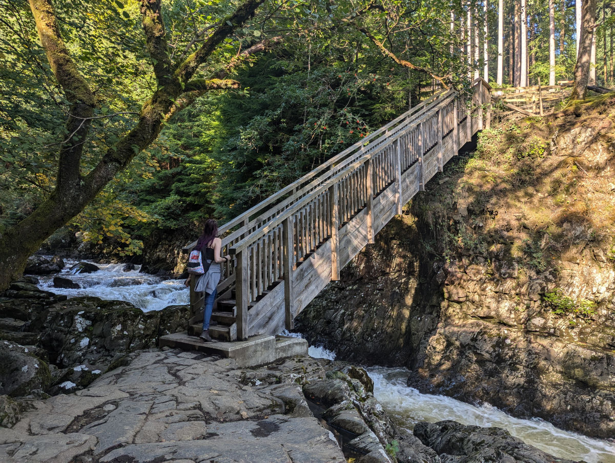 Looking up at the Miners' Bridge