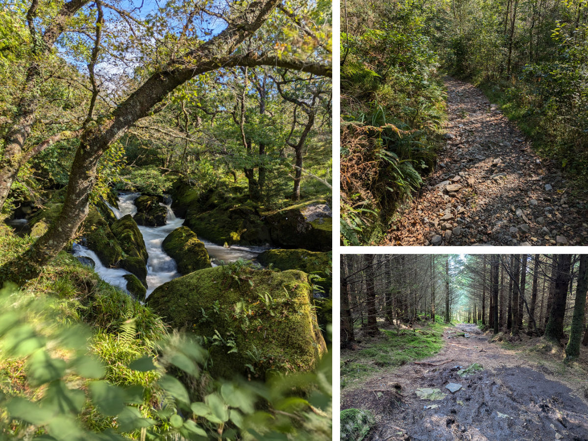 Glimpses of the river and more woodland walking