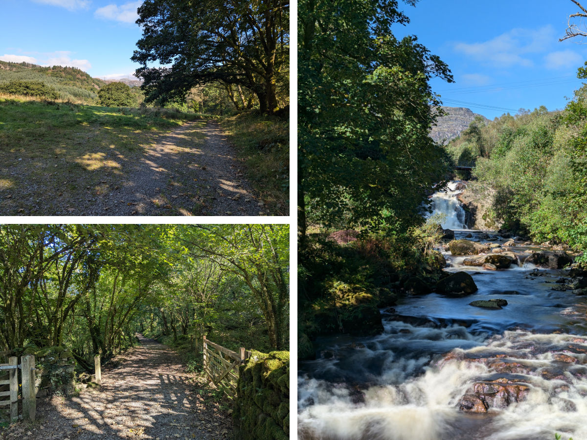 Some more views at Coed Cymerau-Isaf and the alternative view of the start of the Rhaeadr Cymerau walk