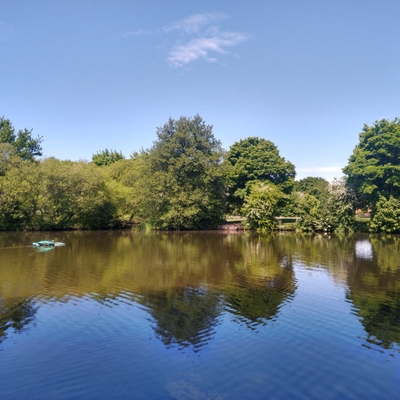 A fishing pond on a summer's day